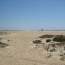 rotr_conil_008.jpg