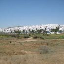 rotr_conil_009.jpg