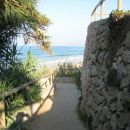 rotr_conil_028.jpg