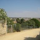 rotr_conil_039.jpg